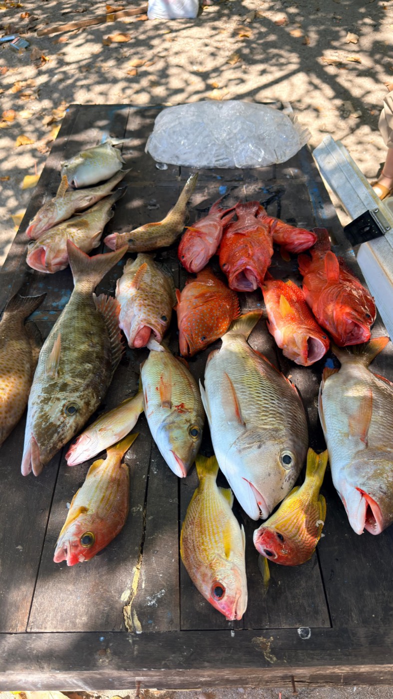 The days deep water haul — Boho Kink Konk fishing charter, Kuta Bali