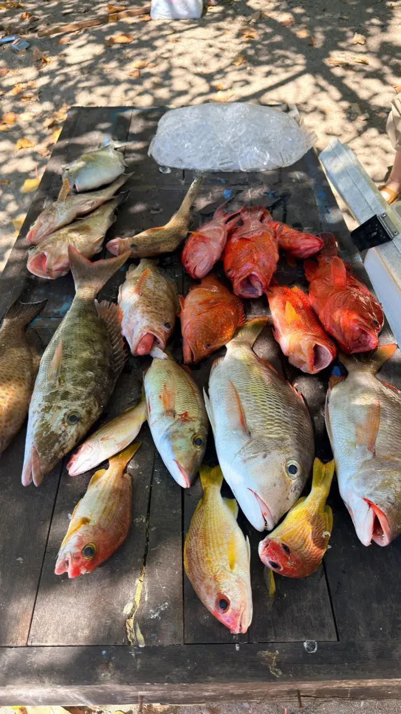 The days deep water haul — Boho Kink Konk fishing charter, Kuta Bali
